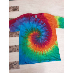 Kids L Rainbow Spiral T-Shirt